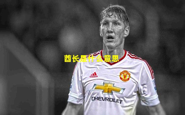 酋长是什么意思