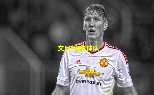 文尼沙BB球队